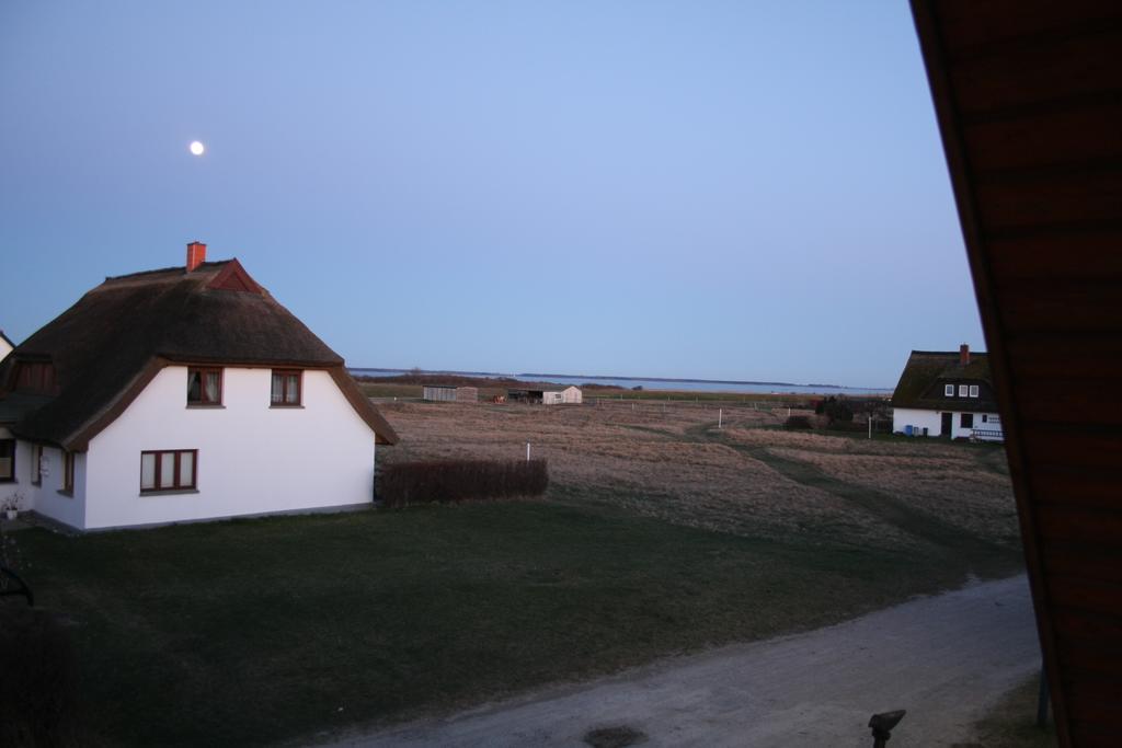 Zur Boje Neuendorf (Hiddensee) Phòng bức ảnh